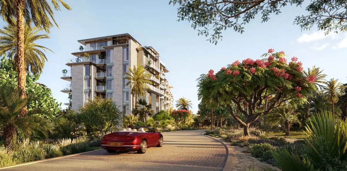 The tree-lined arrival drive at Solaya
